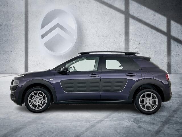 Citroen C4 CACTUS 110 PK Shine | Rijklaar | Navigatie | Parkeercamera | Lichtmetalen Velgen | Dealer onderhouden! |