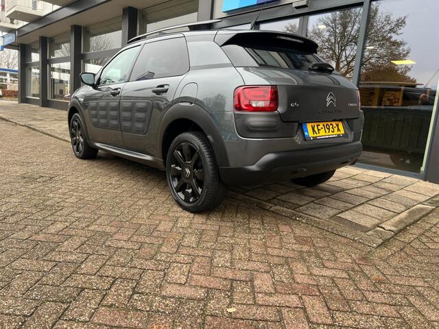 Citroen C4 CACTUS 1.2 Pure Tech Business plus clima / Navi / Camera
