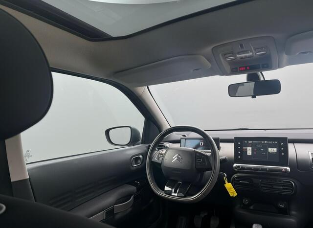 Citroen C4 CACTUS 1.2 PureTech Business Plus PANO - RIEM VERVANGEN