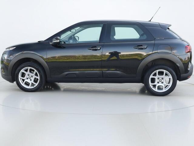 Citroen C4 CACTUS 1.2 PureTech Business | Clima | Cruise | Multimedia/Navi | PDC |