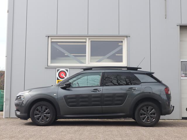 Citroen C4 CACTUS 1.6 BlueHDi Business Plus