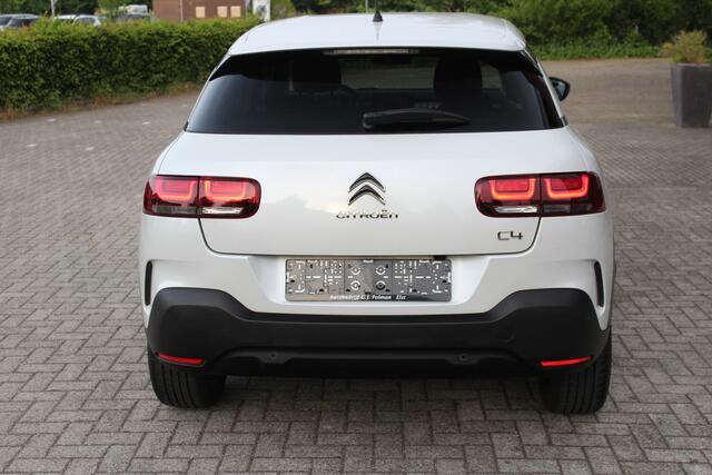 Citroen C4 CACTUS 1.2 PT Shine 130 PK Automaat EAT6 Clima-Cruise-Navi-Dodehoek Detectie