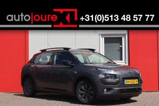 citroen-c4-cactus-1.6-bluehdi-busin