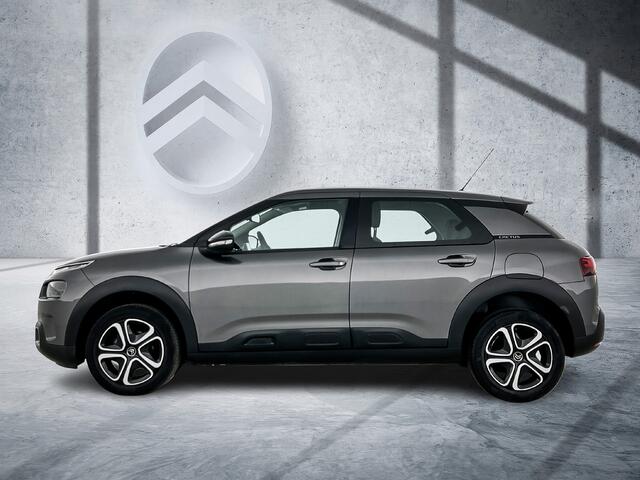Citroen C4 CACTUS 110pk Business | Rijklaar Stoelverwarming | Parkeersensoren | Apple Carplay |
