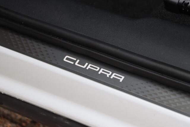 Cupra Terramar 1.5 TSI eTSI Business 150pk DSG7