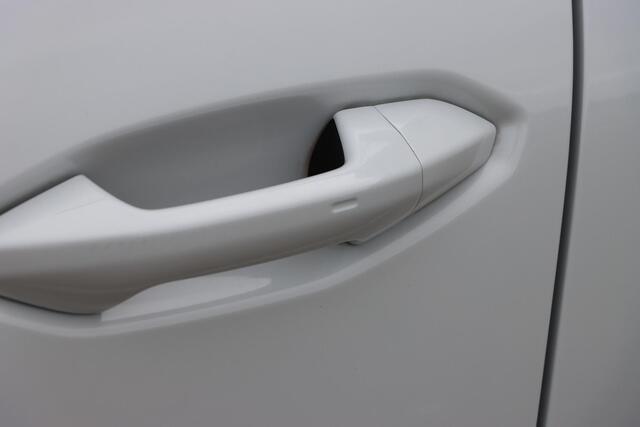 Cupra Terramar 1.5 TSI eTSI Business 150pk DSG7