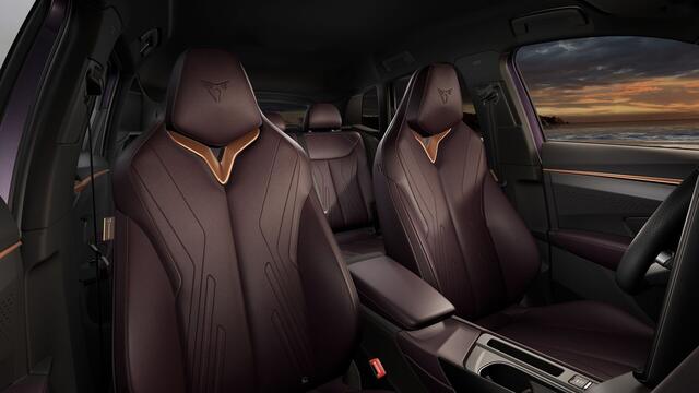 Cupra Terramar 1.5 TSI e-Hybrid 204 6DSG Business | 360 graden camera | Achteruitrijcamera | Draadloze Apple CarPlay(TM), Android Auto(TM)