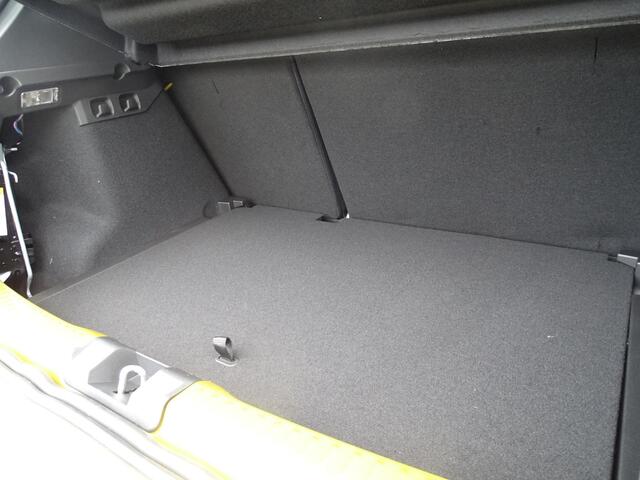 Dacia SANDERO Stepway 1.0 TCe 110 limited edition NU 7 JAAR GARANTIE! / FULL OPTIONS