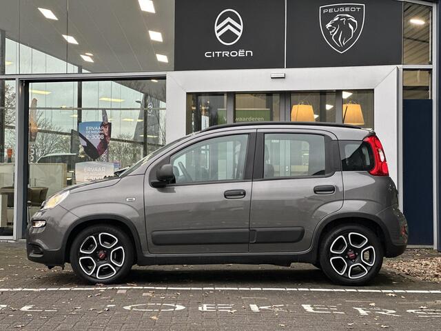Fiat PANDA 1.0 Hybrid City Life | Navigatie via Carplay | 3 Zitplaatsen | Airco | Dakrails | Hoge instap | City functie | Metaallak | Electrische ramen |