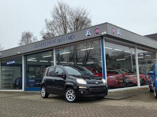 fiat-panda-1.2-lounge