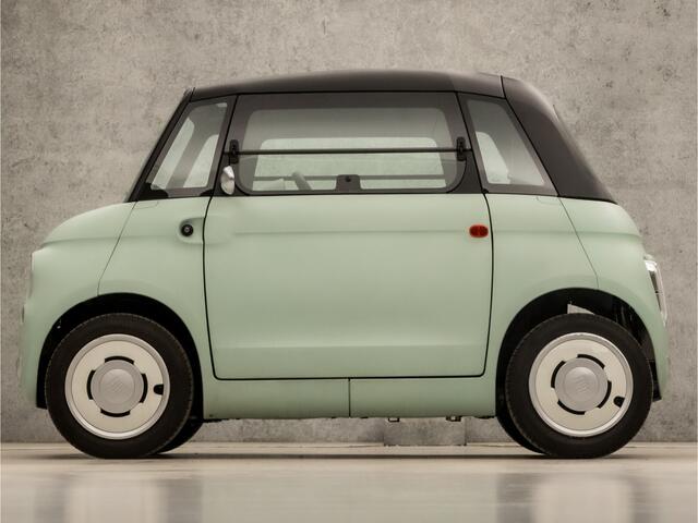 Fiat Topolino Verde Vita (DIRECT LEVERBAAR, PANORAMADAK, DELUXE, LEDER, LED)