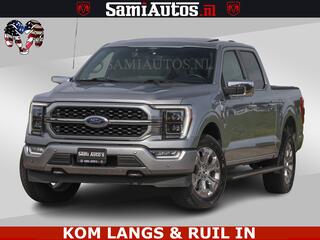 ford-f-150-platinum--massage--pan