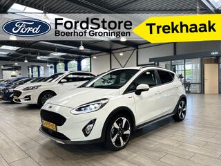 ford-fiesta-ecoboost-100pk-active-