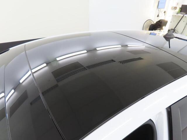 Ford FIESTA 125pk EcoB Hybrid ST-Line X Panoramadak Full Options Winter Parking B&O pack Dealeronderhouden NL-Auto