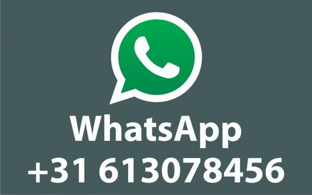 Ford KUGA 2.5 PHEV ST-LINE / Trekhaak+Driver+Techno+Winter pack