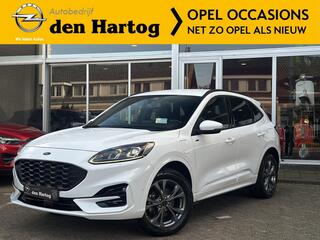 ford-kuga-2.5-phev-st-line-x-head-u