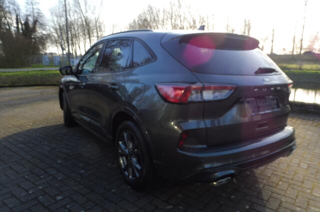 Ford KUGA 150pk ST-Line X Panodak Trekhaak en alle packs