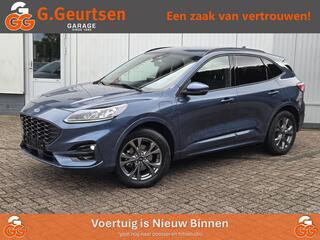 ford-kuga-2.5-phev-st-line-x-trekha