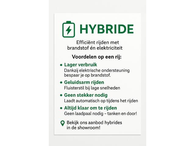 KIA Niro 1.6 GDi Hybride DynamicLine Navigatie Camera