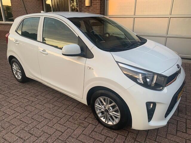KIA PICANTO 1.0 DPi DynamicLine Cruise - Camera - Apple Carplay/ Android