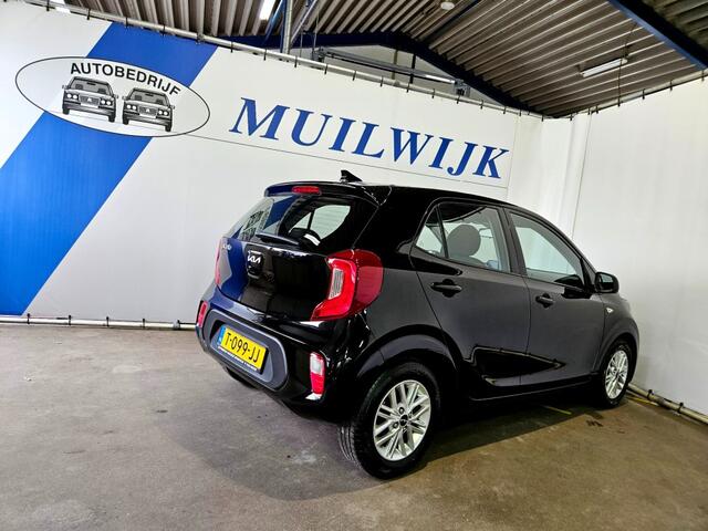 KIA PICANTO 1.0 DPi DynamicLine / Camera / Cruise / NL Auto