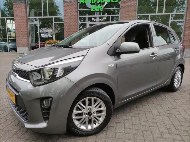 KIA PICANTO 1.0 DPi DynamicLine LMV - Achteruitrijcamera - Apple Carplay - Bluetooth - DAB - Allseason banden