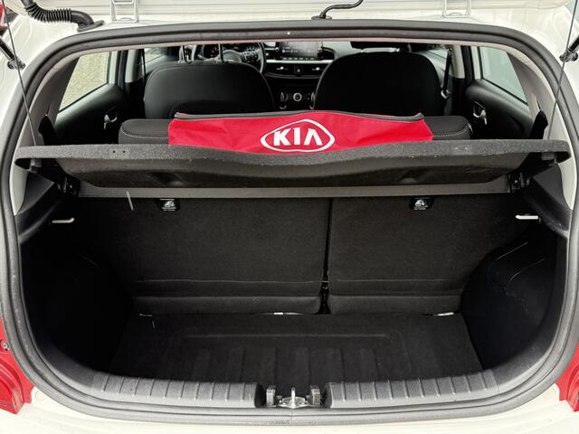 KIA PICANTO BWJ 2021 1.0 DPi 67 PK DynamicLine CARPLAY + ANDROID | CAMERA | AIRCO | CRUISE | LMV | PDC