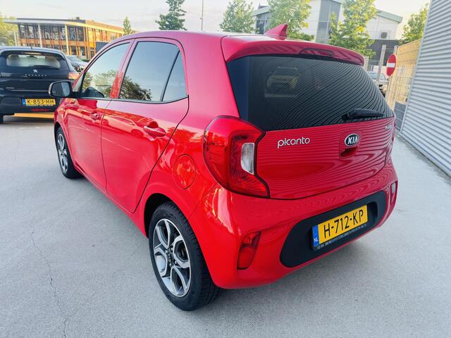 KIA PICANTO 1.0 MPi DynamicPlusLine NW geleverd & Onderhouden | Privacyglass | LED | Stoere Picanto !