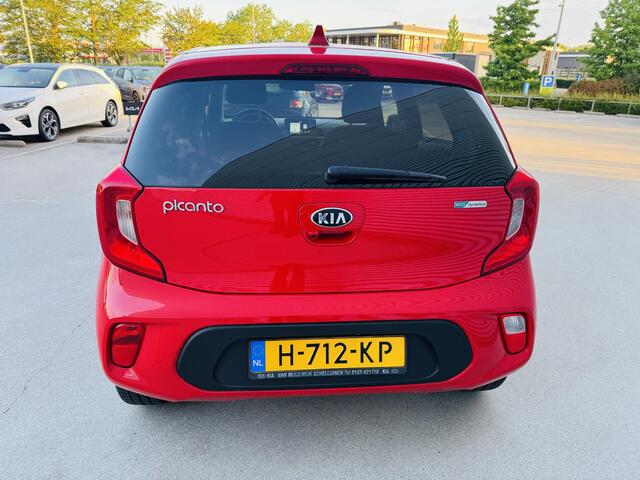 KIA PICANTO 1.0 MPi DynamicPlusLine NW geleverd & Onderhouden | Privacyglass | LED | Stoere Picanto !
