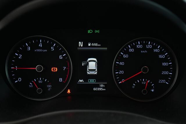 KIA RIO 1.0 T-GDi MHEV DynamicLine Cruise Cont. Lane assist Carplay Achteruitrijcamera NAP! 100PK