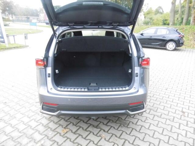 Lexus NX 300h AWD Edition 30