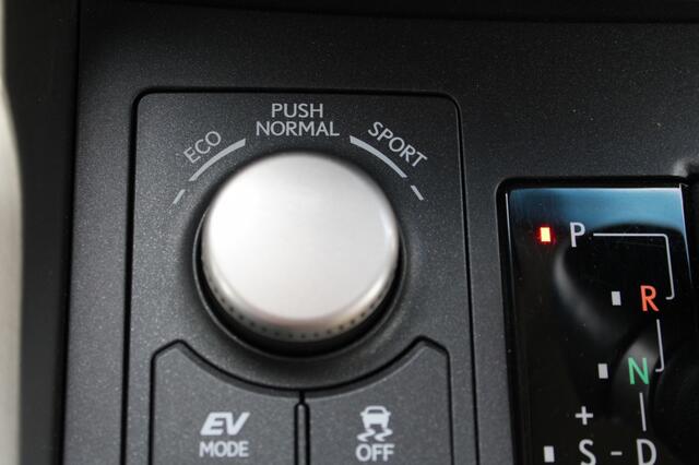 Lexus NX 300h AWD Luxury Line + Elektr.schuifkantel dak