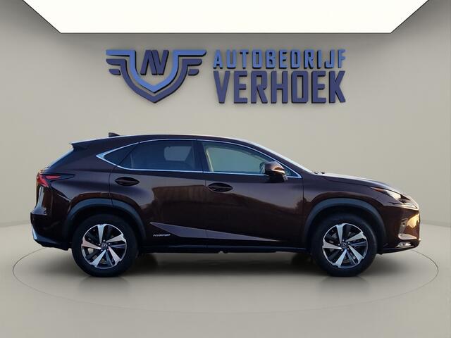 Lexus NX 300h AWD Executive Line + President Pack - NL Auto - Panodak