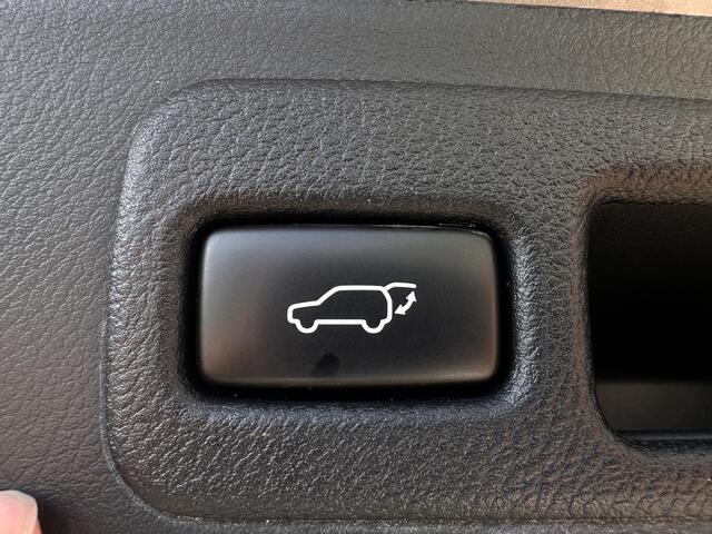 Lexus NX 300h AWD F Sport Line LEDER,TREKHAAK,ADAPTIVE CRUISE