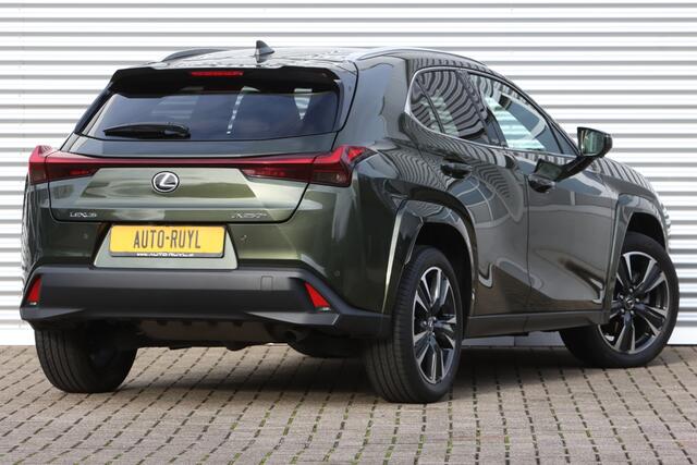 Lexus Ux 250h Executive President Schuifdak