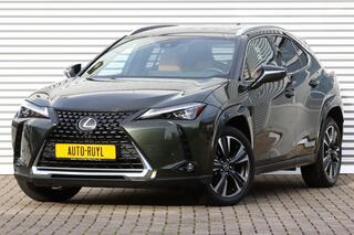 lexus-ux-250h-executive-president-s