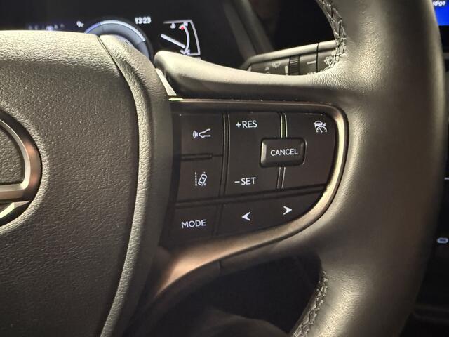 Lexus Ux 250h Camera/Trekhaak/Apple