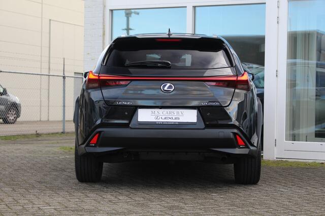 Lexus Ux 250h Hybrid Executive Line I Opendak I Premium Navi I Applecarplay