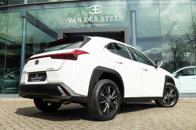 Lexus Ux 250h Business Line | Groot Scherm | Camera