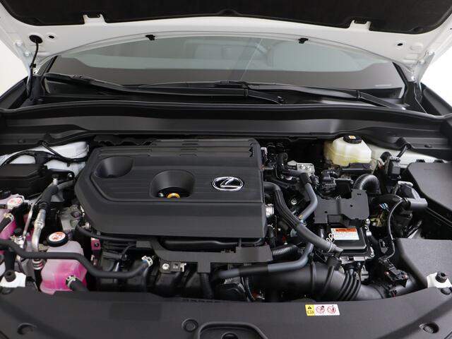 Lexus Ux 300h 35th Edition | Lederen Bekleding | 18" Velgen | Stoelverwarming | Lexus-paasweekend