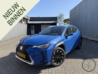 lexus-ux-300e-business-54-kwh--led