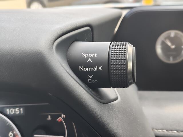 Lexus Ux 250h Luxury Line | Leer | Android Auto | All Seasons | Navi | Bl