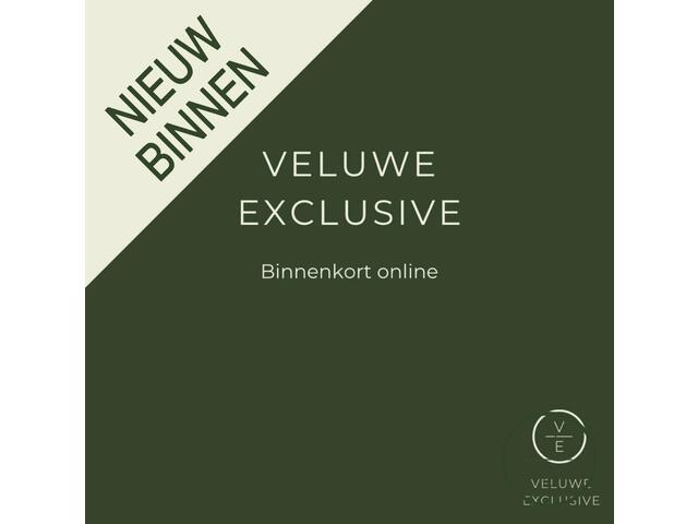 MG EHS 1.5 TGDI Luxury PHEV | Pano | Leder | 360 Camera |