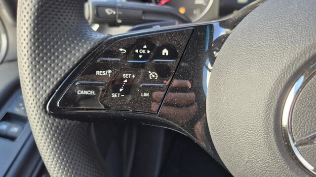 Mercedes-Benz SPRINTER Rolstoelbus met 9-zitplaatsen Incl-BPM