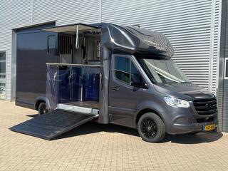 mercedes-benz-sprinter-314cdi-paard