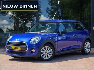 mini-one-mini-1.5-first-salt--carp