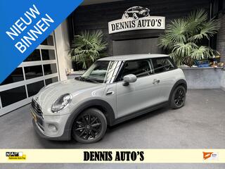 mini-one-mini-1.5-first-salt