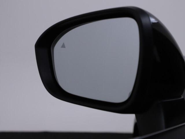 Nissan QASHQAI 1.3 MHEV Premiere Ed. Pano/Trekhaak/Winterset