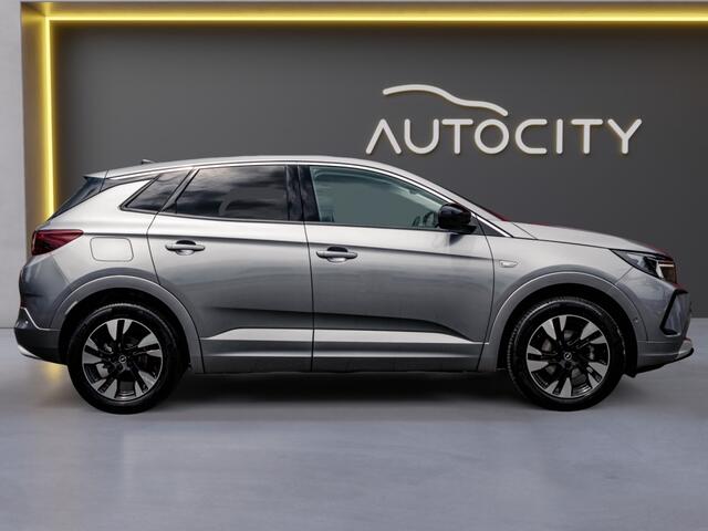 Opel Grandland 1.2 Turbo Elegance | CAMERA | WINTERPAKKET