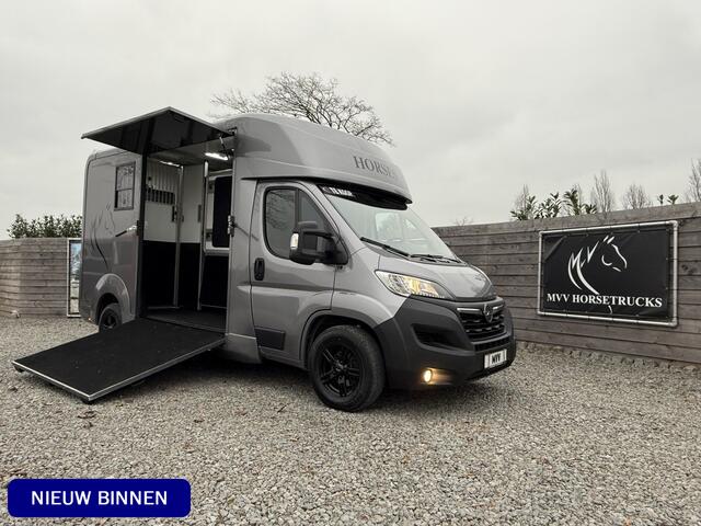 Opel MOVANO HORSETRUCK STX AKX 3XL GREY | 2023 | HENGST | 3-SEAT | 59.101KM | LEER | CAMERA | BELGISCH KENTEKEN
